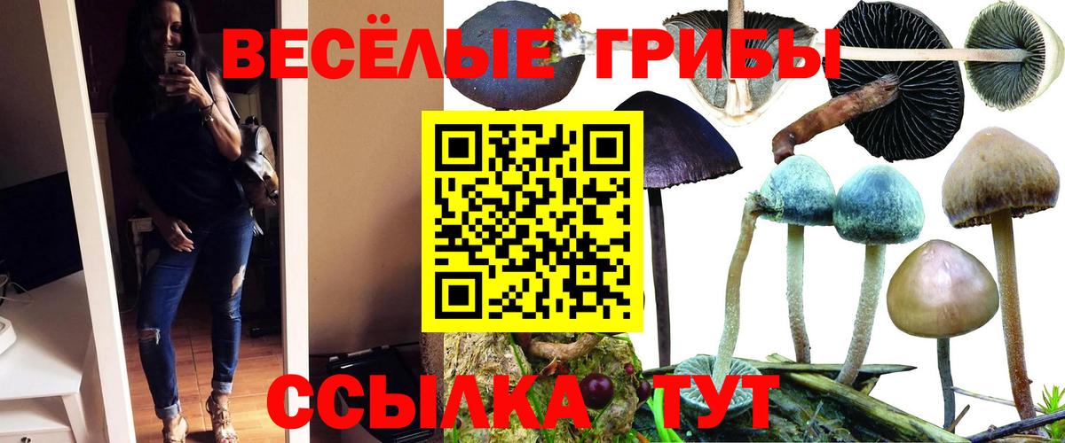 закладки  Галлюциногенные грибы Psilocybe  Вход с VPN  Шатура  Псилоцибиновые грибы мухоморы 